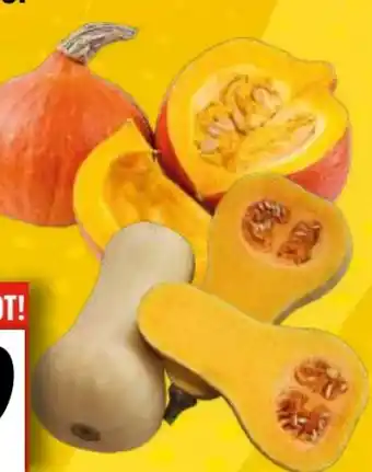 EDEKA Bandelt Speisekürbisse Hokkaido Angebot