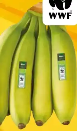 EDEKA Bandelt Edeka Bio Bio-Bananen Angebot