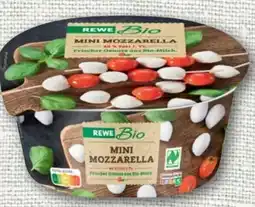 nahkauf Rewe Bio Mini Mozzarella Angebot