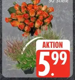 Edeka Frischemarkt Besenheide Angebot