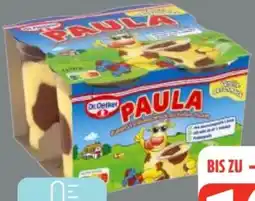 Edeka Frischemarkt Dr. Oetker Paula Schoko-Pudding Angebot