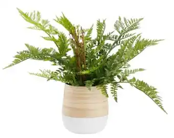 Mömax Zandiara Übertopf Naturelle Angebot