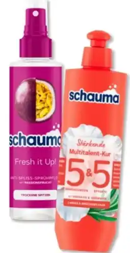 Budni Schwarzkopf Schauma Sprühspülung Angebot