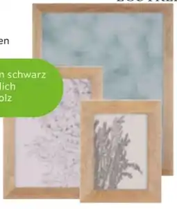 Mömax Ecotree Bilderrahmen Frido Angebot