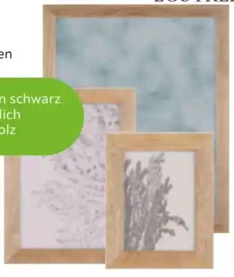 Mömax Ecotree Bilderrahmen Frido Angebot
