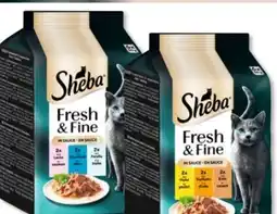 Budni Sheba Katzennahrung Fresh & Fine Angebot