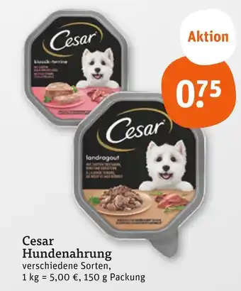 tegut Cesar hundenahrung Angebot
