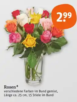 tegut Rosen Angebot