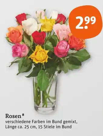 tegut Rosen Angebot