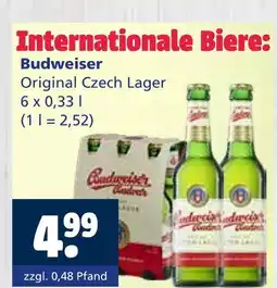 Getränkewelt Budweiser original czech lager Angebot