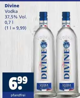 Getränkewelt Divine vodka Angebot