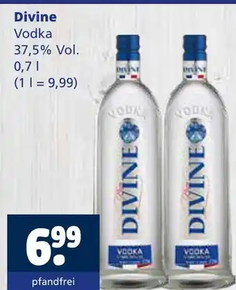 Getränkewelt Divine vodka Angebot