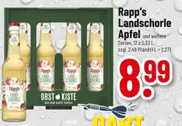 trinkgut Rapp’s landschorle apfel Angebot