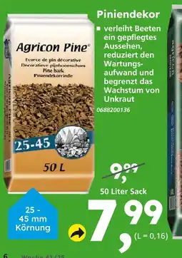 Globus Baumarkt Agricon pine pinindekor Angebot