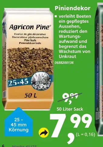 Globus Baumarkt Agricon pine pinindekor Angebot