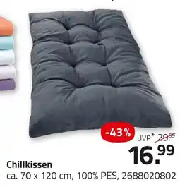 ROLLER Chillkissen Angebot