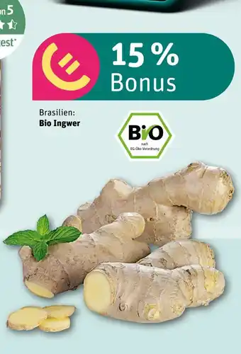REWE Bio ingwer Angebot