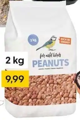 Rusta Vogelfutter und Vogelfutterstation Angebot