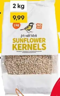 Rusta Vogelfutter und Vogelfutterstation Angebot