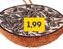 Rusta Vogelfutter und Vogelfutterstation Angebot