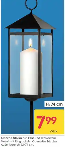 Rusta Laterne Gloria Angebot