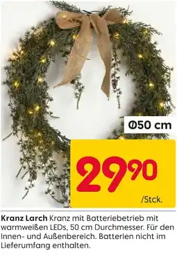 Rusta Kranz Larch Angebot