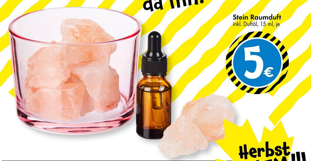 Stein Raumduft Angebot bei TEDi