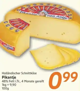 inkoop Holländischer Schnittkäse Pikantje Angebot