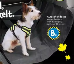 TEDi Autoschondecke Angebot