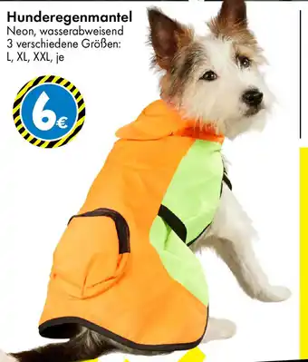 TEDi Hunderegenmantel Angebot