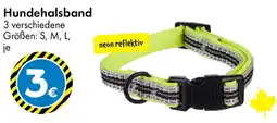 TEDi Hundehalsband Angebot