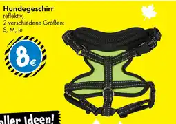 TEDi Hundegeschirr Angebot