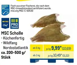 METRO MSC Scholle Angebot