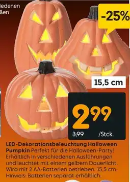 Rusta LED-Dekorationsbeleuchtung Halloween Pumpkin Angebot