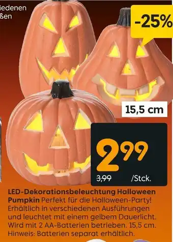 Rusta LED-Dekorationsbeleuchtung Halloween Pumpkin Angebot