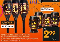 Rusta Halloween-LED-Fackel und -Laterne Angebot