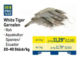 METRO White Tiger Garnelen Angebot