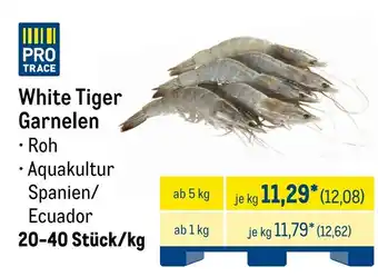 METRO White Tiger Garnelen Angebot