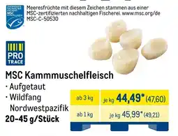 METRO MSC Kammmuschelfleisch Angebot