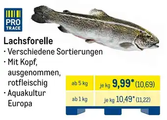 METRO Lachsforelle Angebot