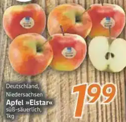 inkoop Apfel Elstar Angebot