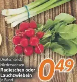 inkoop Radieschen oder Lauchzwiebeln Angebot