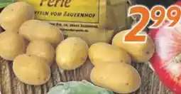 inkoop Speisekartoffeln XXL Angebot