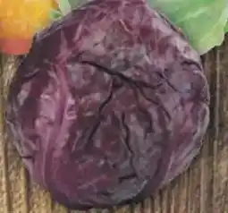 inkoop Rotkohl Angebot