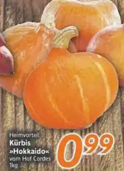 inkoop Kürbis Hokkaido Angebot