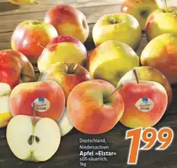 inkoop Apfel Elstar Angebot