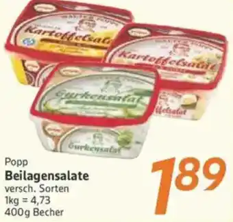 inkoop Popp Beilagensalate Angebot