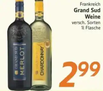 inkoop Frankreich Grand Sud Weine Angebot