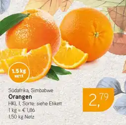 Dornseifer Südafrika, Simbabwe Orangen Angebot