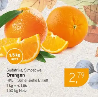 Dornseifer Südafrika, Simbabwe Orangen Angebot
